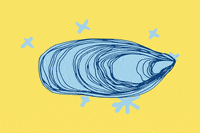blue shell gif