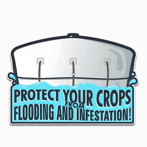 GrainPro agriculture flood seeds cocoa GIF