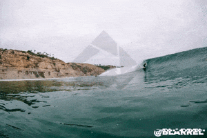 Surf GIF