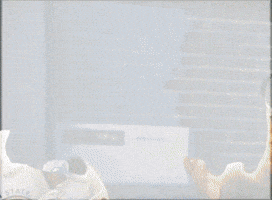 Jimmy Genesis GIF
