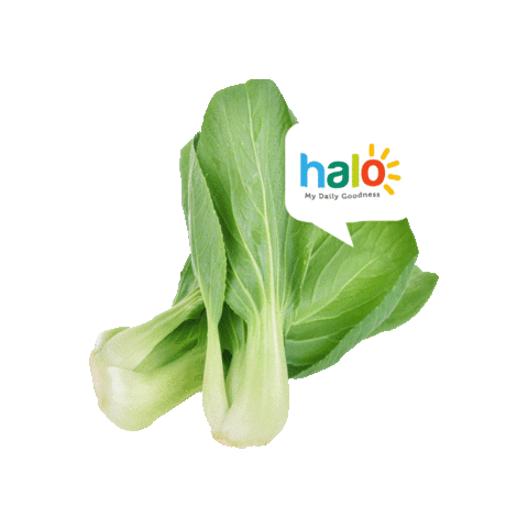 Sticker by Halofresh