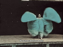 Toulouselautrec GIF by mbellasartes