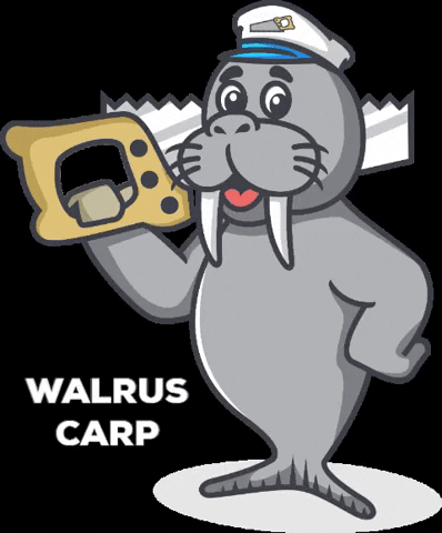 WalrusCarp walrus walruscarp walrus carp GIF