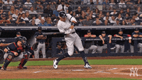 Aaron-judge GIFs - Get the best GIF on GIPHY