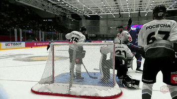 Goal Monday GIF by Champions Hockey League