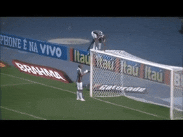 joaovitornunes  GIF