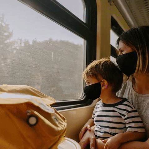 Renfe SNCF in Cooperation GIF