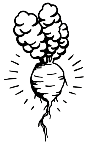 Root Beetroot Sticker by OHNI