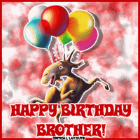 Happy Birthday GIF - Happy Birthday Funny - Discover & Share GIFs  Happy  birthday funny, Funny happy birthday pictures, Happy birthday brother funny