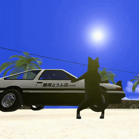 Catdance GIF