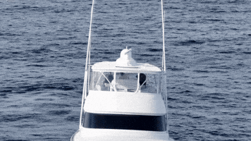 Viking Gulfstream GIF by GEMLUX