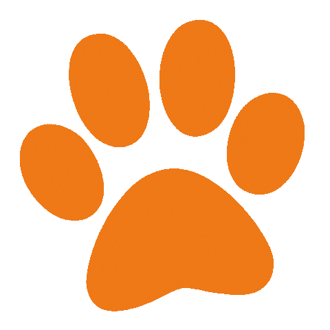 Nove Reels Sticker by PetCenter