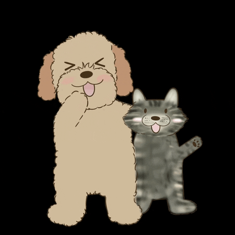 Cat And Dog Love GIF