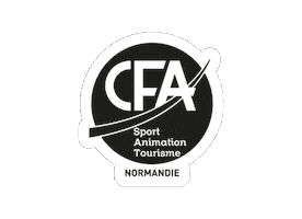 CFA SAT NORMANDIE Sticker