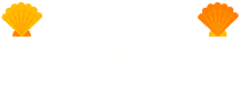 Decameron Hotels Sticker by Hoteles Decameron