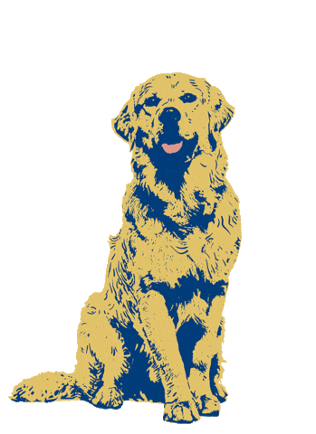 F4D Studio Sticker