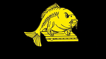 Fish Fishing GIF by mm-baitservice