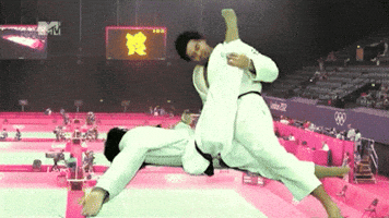 Hermes E Renato Judo GIF