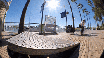 Long Beach Skateboarding GIF by Emerica