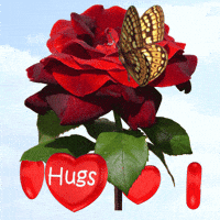 Hugs GIF