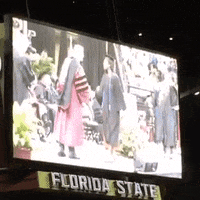 college flip GIF by Florida State University