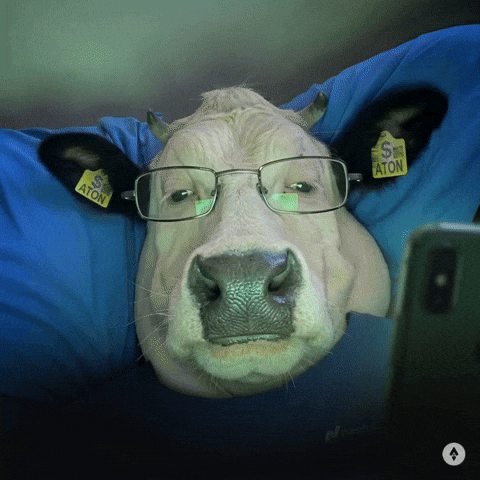 Shock Invest GIF by AlphaTON Capital