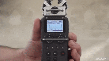 Zoom H5 GIF