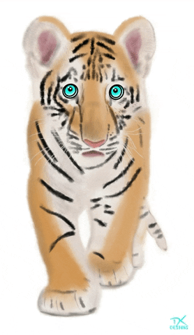 Du-tiger GIFs - Get the best GIF on GIPHY