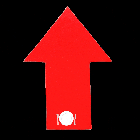 ayseskochblog GIF