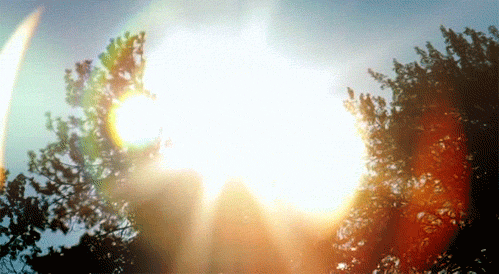 Sunny Day GIF - Find & Share on GIPHY