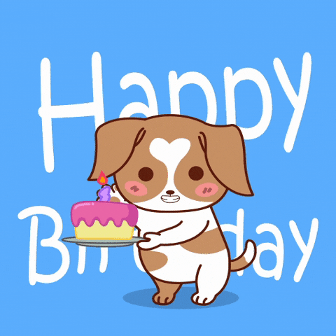 Happy Birthday GIF by MyMorningDog