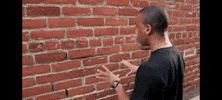 Man Talking To Wall GIF