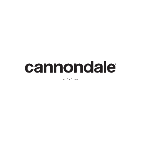 Cannondale_CSG Sticker