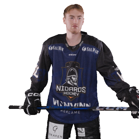 Trondheim Sticker by Nidaros Hockey