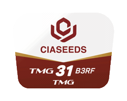Tmg Sticker by Ciaseeds