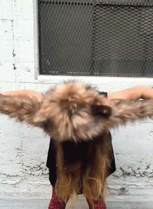 Bless You What GIF by SpiritHoods