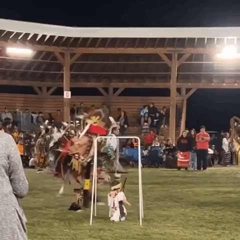 First Nations Dancing GIF by Storyful