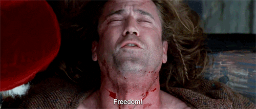 Freedom Braveheart GIFs - Find & Share on GIPHY