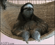 https://media2.giphy.com/media/m171D9eM7Jq6s/giphy.gif