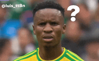 World Cup Fifa GIF