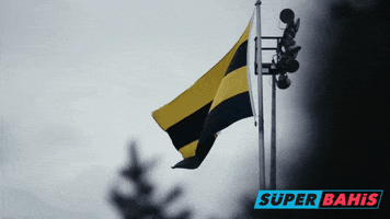 Alex Fb GIF by Süperbahis