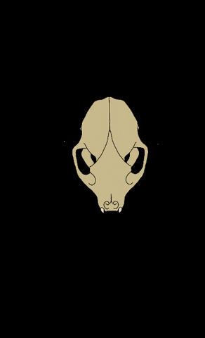 LivingSkills skull head connection ancestors GIF