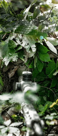 CARRB-m2m6XuoBvhELQs4Z04