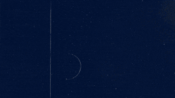GIF by Ria Money Transfer