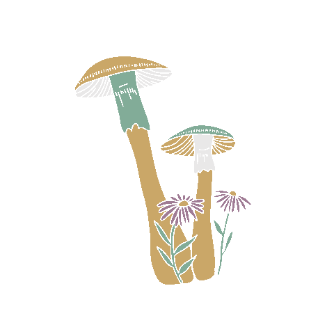 Mushrooms Sticker by Highlands Food and  Wine