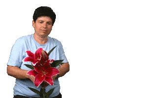 Flower Recording Sticker by LOVE FOR LILIES