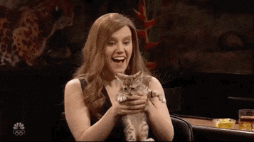 Cat Snl GIF by Saturday Night Live