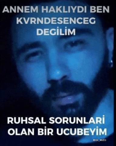 Cegmuzesi GIF