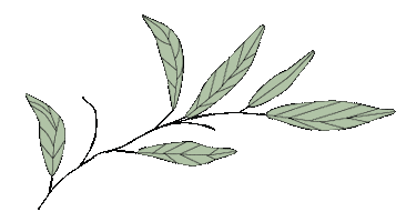 Sage Design and Co Sticker