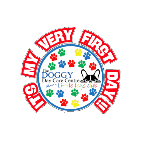 Ddcc Sticker by The Doggy Day Care Centre Ltd.